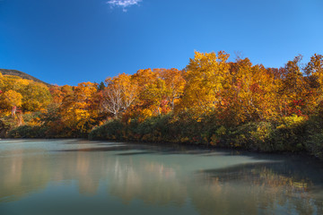 autumn landscape with lake and trees