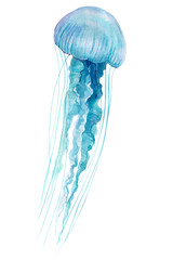 blue jellyfish on an isolated white background, watercolor illustration, hand drawing - obrazy, fototapety, plakaty
