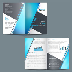 Professional Brochure design for Business.