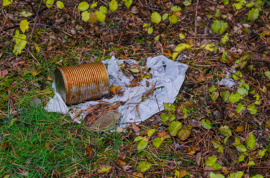 10 BEST "Trash Nature" IMAGES, STOCK PHOTOS & | Adobe