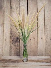 View of African fountain grass (Pennisetum setaceum) in glass vase on wood texture background.