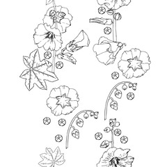 Malva seamless pattern Summer Flowers Sketches.