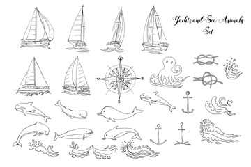 Nautical background with ships, yachts, sea animals, dolphin and sea knots. Vector Illustration