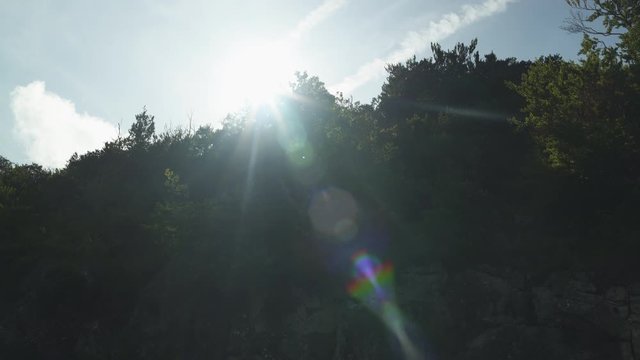 Beautiful sun lens flare through Vast forest on a sunny summer day, woods countryside. 4K UHD. Spain. Lot of green trees. Beautiful nature landscape. Blue cloudy sky.