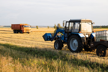 Obraz premium The harvest in the fall