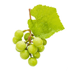 bunch of green grapes isolated on white background