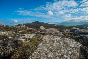 St. David's Head, Pembrokeshire, Wales, UK