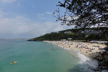 Beautiful cornish landscape on the coast in the middle of summer