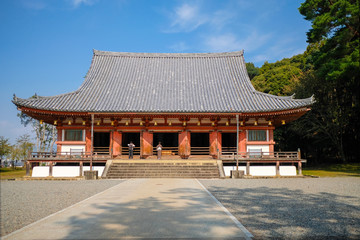 Fototapeta premium 醍醐寺 金堂