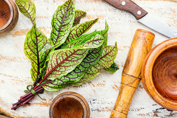 Sorrel bloody mary