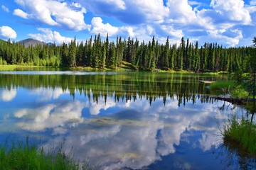 Fototapeta premium Horseshoe Lake Trail - Denali National Park , Alaska 