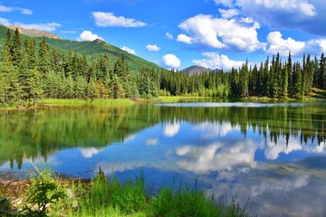 Fototapeta na wymiar Horseshoe Lake Trail - Denali National Park , Alaska 