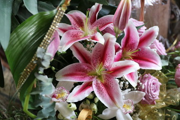 Flowers in festive attire, elegance
