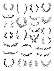 Wreaths and natural botanical frames vector hand drawn set. Vintage collection with laurels, dividers and decoration graphics