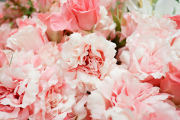 Pastel artificial rose and carnation flowers for background