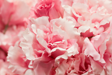 Pastel artificial rose and carnation flowers for background