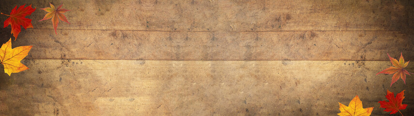 Autumn - colorful fall leaves isolated on rustic weathered grunge wooden texture - autumnal thanksgiving holiday background panorama banner long