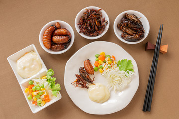 Fried Worm, Insect food with vegetable salad in the white bowl. Healthy meal high protein diet concept, Top view.