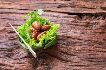 Fried Worm, Insect food with vegetables in the bowls made from banana leaves on wooden background with copy space for text. Top view.