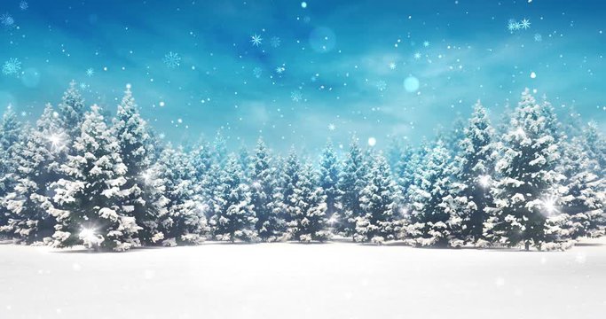 Snow covered winter forest under stormy snowfall and blue sky 4k animation loop