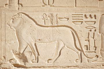 Elegant profile of male lion carved into a hieroglyph on light stone at the Egyptian temple of Karnak, Egypt