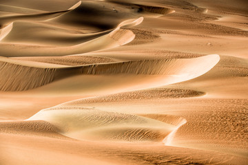 exploring the amazing desert with its endless sand dunes and heat