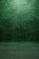 Photo studio portrait backdrop. Background painted scratch texture dark green with spot light. 3D rendering
