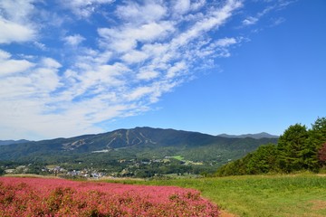 Fototapeta premium ひるがの高原