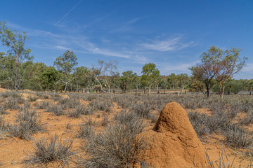In the foreground is a huge termite heap in the Australian desert.