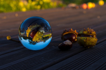 macro pictures with different objects