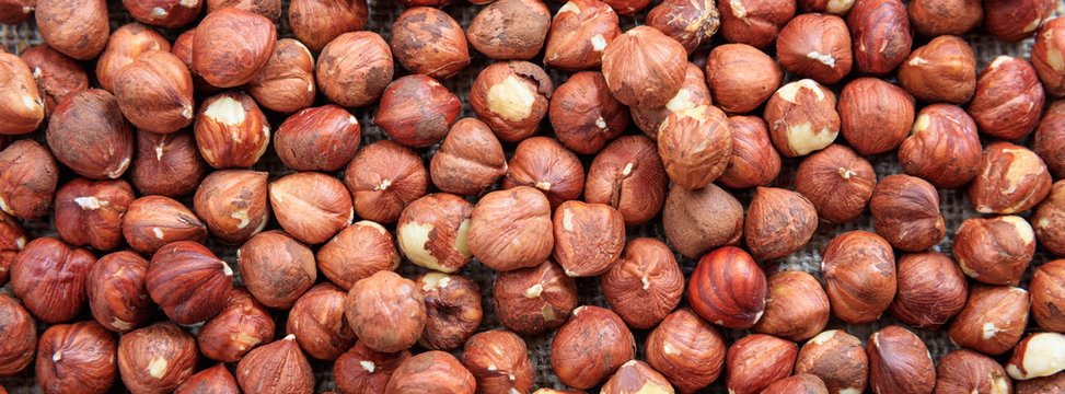 Hazelnuts peeled full background, closeup view, banner