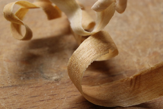 Makroaufnahmen Holzspan