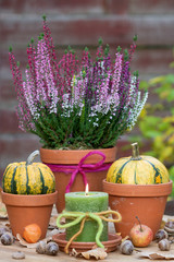 Herbst-Gartendekoration mit Kerze, Kürbissen und Heidekraut