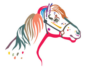 Colorful vector pony portrait