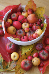 Little red and yellow apples in a white bowl on wooden table with red and yellow leaves. Autumn background
