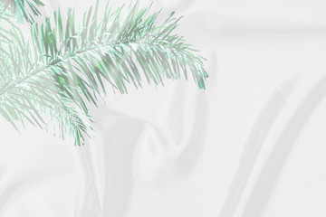 green palm leaves pattern overlay with white fabric texture soft blur background