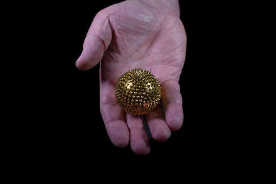 Goldener Igelball von einer Hand gehalten vor schwarzem Hintergrund
