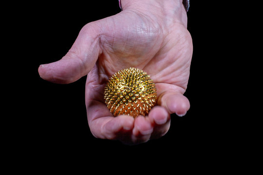Goldener Igelball von einer Hand gehalten vor schwarzem Hintergrund