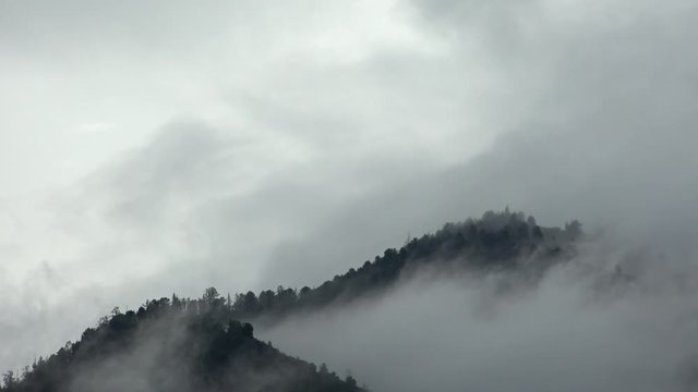 Video of morning mist oin the mountain forest. Fog is floating over the forested hills in Altai