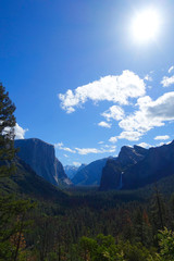 Fototapeta premium Yosemite Valley - Yosmite National Park