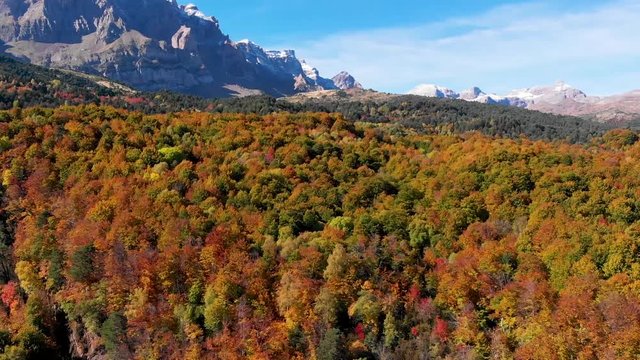 Valle de Tena bosque Betato oto&ntilde;o autumn arboles huesca arag&oacute;n pirineos