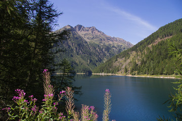 Lago di Pian Pal&ugrave;