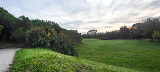 Oporto city park in december