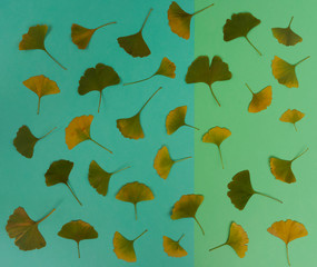 Muster aus Gingko Blatt auf Buntem Hintergrund.