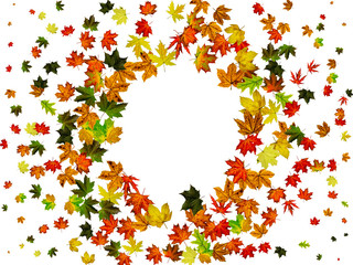 Autumn leaves falling. Season pattern isolated on white background. Thanksgiving concept