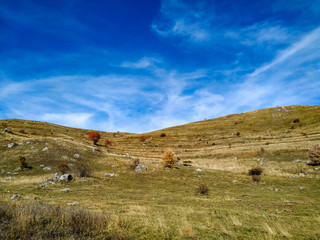 Obraz premium Serene dream like view of nature great for meditation in peaceful healthy isolated environment in the nature for stress and anxiety relief