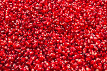 Christmas decoration, red ball isolated on white background.