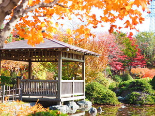 北海道の紅葉風景 平岡樹芸センター 和風庭園