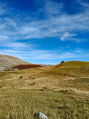 Serene countryside meadow on a beautiful day for taking a walk in the nature looking for new experiences in a natural hiking journey wallpaper