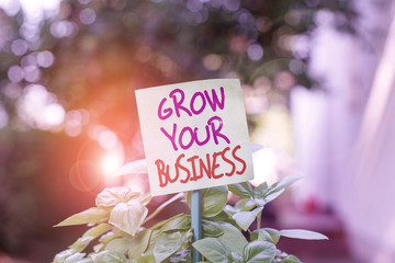 Handwriting text writing Grow Your Business. Conceptual photo Achieve higher profit Provide better...